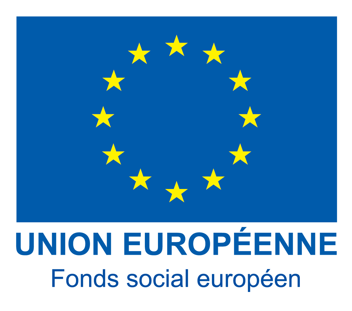 3 Logo Ue Fse Couleur